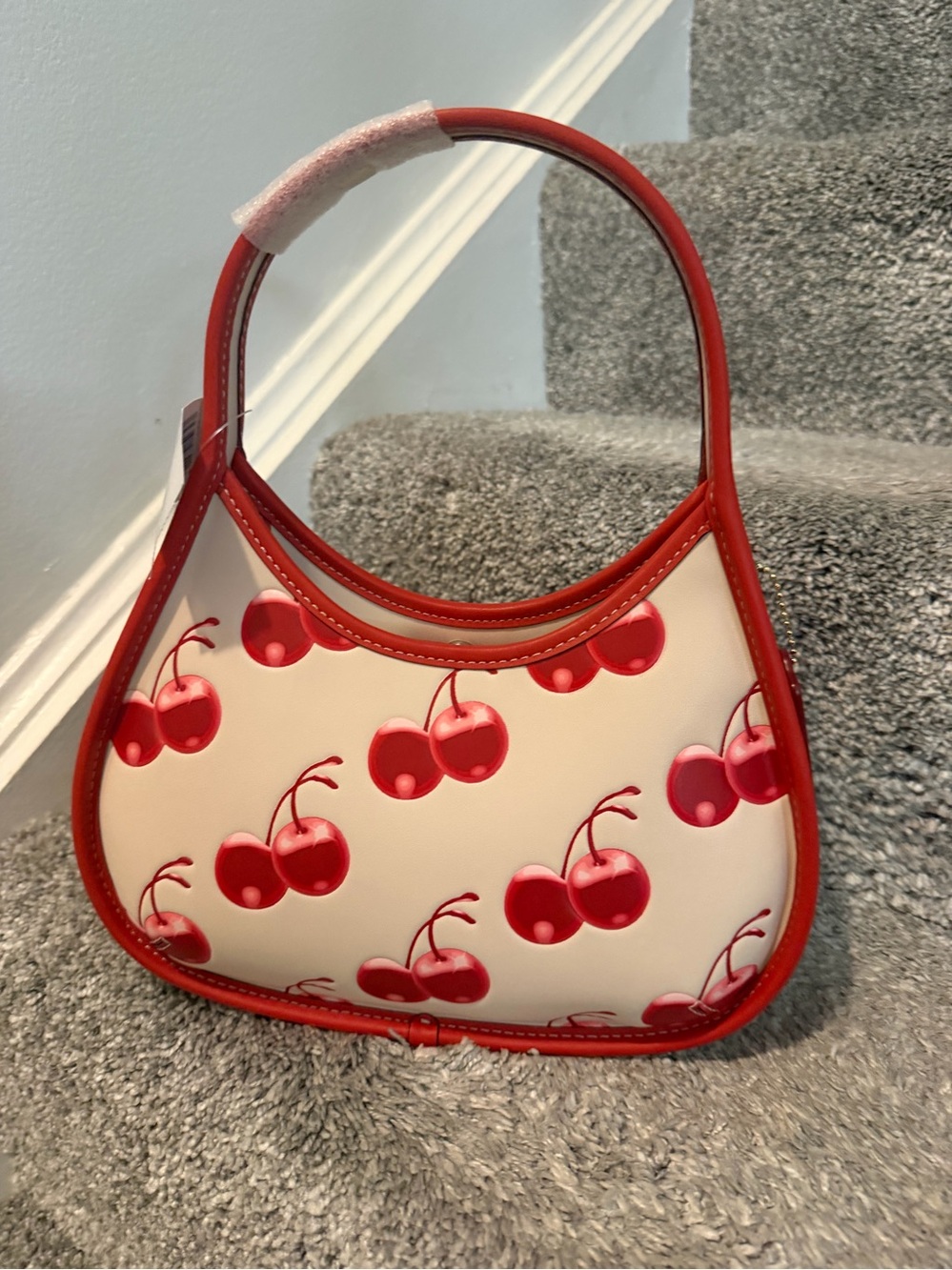 Coach Ergo Bag in Coachtopia Leather with Cherry Print.
